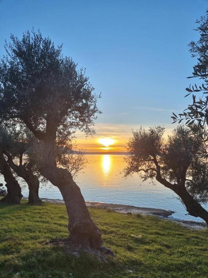 Casa Vacanza Gargano Carpino Exteriér fotografie